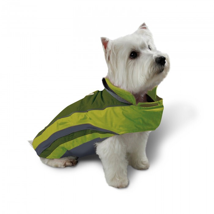 outdoor dog apparel