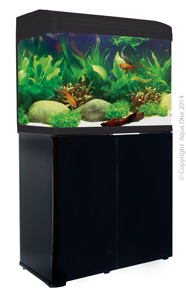 pet city fish tanks