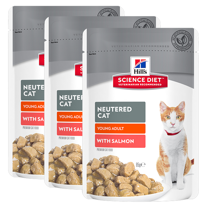 Neutered hotsell cat hills