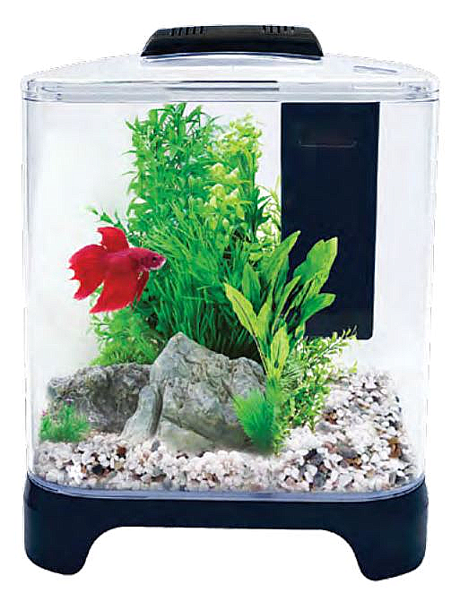 Acrylic Two Splits Aquarium Betta Fish Bowl - The Fish Tank Place