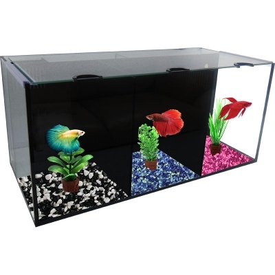 pet city fish tanks