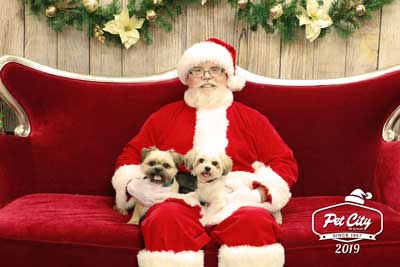 Santa Pet Photos | Book Now | Pet City