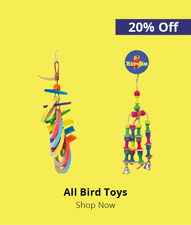 20% off all bird toys