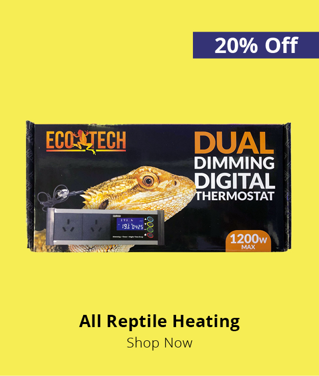 20% off all reptile heating