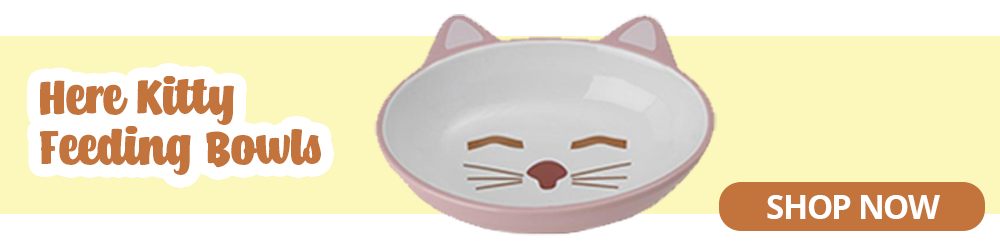 here kitty feeding bowls