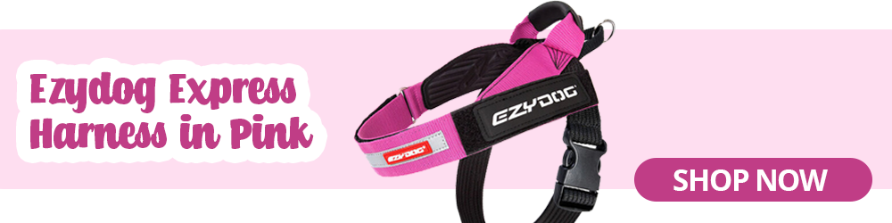 ezydog express dog harness in pink