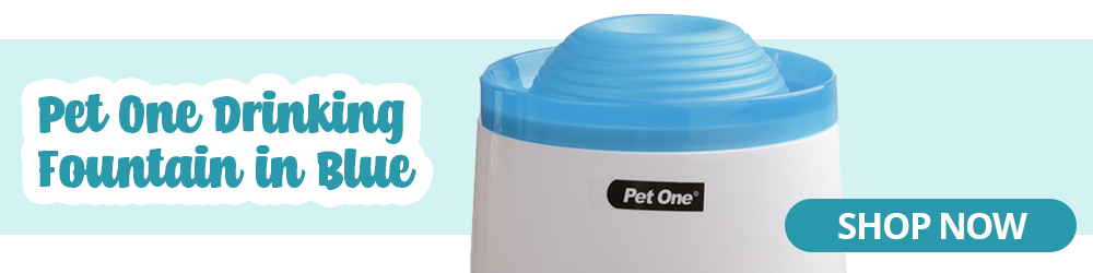 pet one drinking fountain in blue