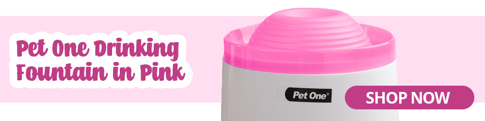 pet one pink drinking fountain