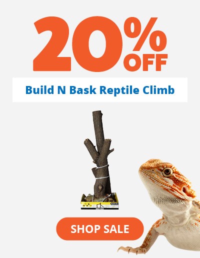 20% off build n bask reptile climbs