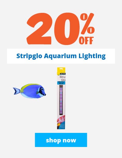 20% off Stripglo aquarium lights