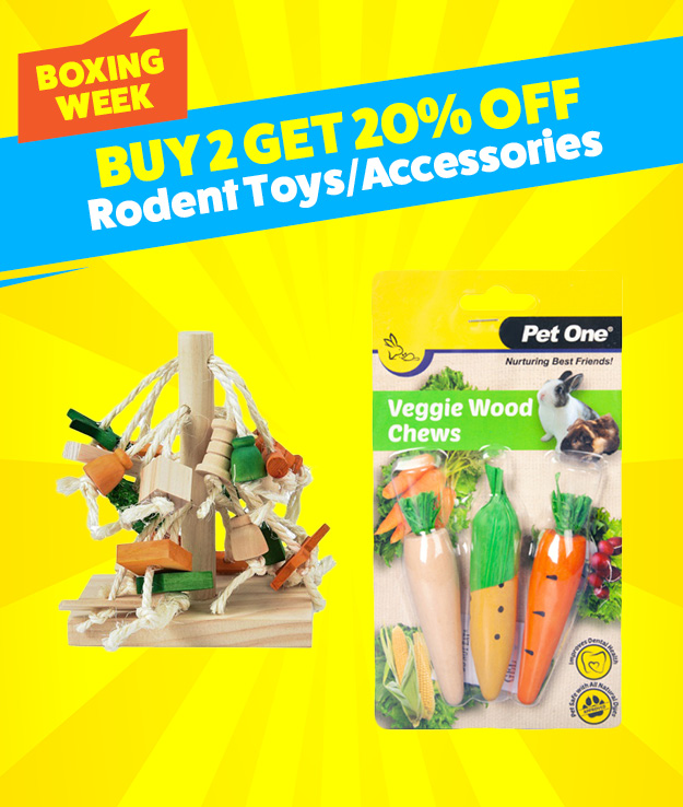 20% off any 2 rodent toys