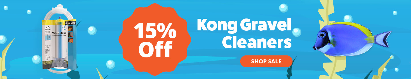 Kong Gravel Cleaners 15% Off