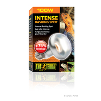 Exo Terra Intense Basking Spot 100w