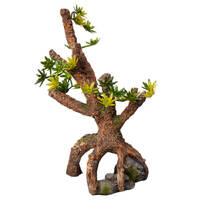 Umbrella Pine Sapling Aquarium Ornament