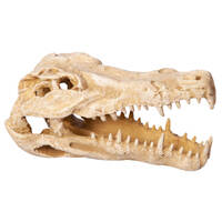 Crocodile Skull Aquarium Ornament