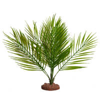 Reptile One Palor Palm Green Plant Large