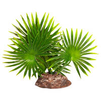 Reptile One Fan Palm Plant Small