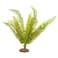 Reptile One Green Fern Plant Large