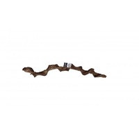 Bioscape Reptile Twisted Vine 60cm