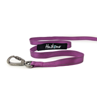 Huskimo TrekPro Dog Lead Small Aurora