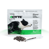 4Cyte Canine Joint & Cartilage Support for Dogs 50g