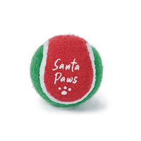 Kazoo Christmas Dog Toy Santa Paws Star Ball Small