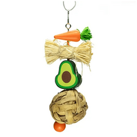 Hanging Avocado Rodent Chew Toy